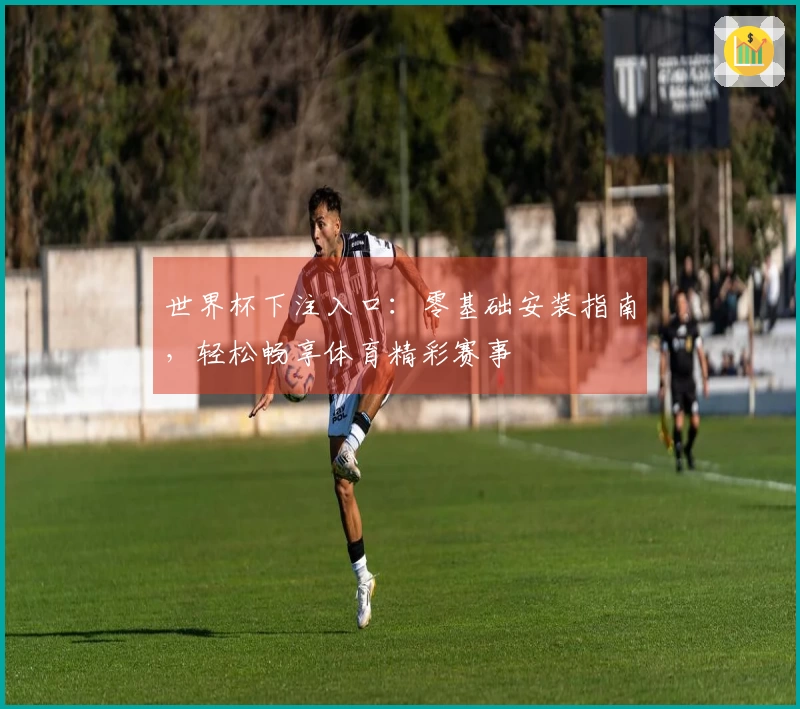 世界杯下注入口：零基础安装指南，轻松畅享体育精彩赛事
