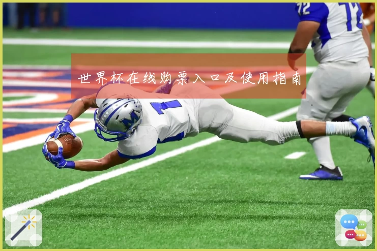 世界杯在线购票入口及使用指南