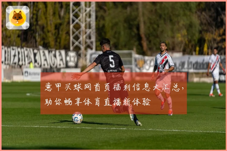 意甲买球网首页福利信息大汇总，助你畅享体育直播新体验