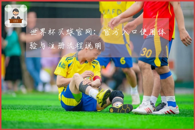 世界杯买球官网：官方入口使用体验与注册流程说明