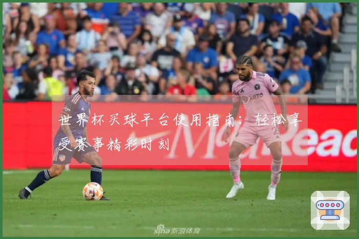 世界杯买球平台使用指南：轻松享受赛事精彩时刻